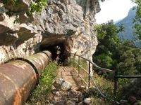 2010
